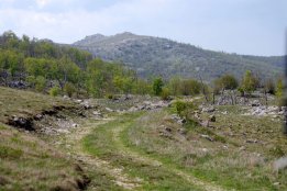 DSC2 (36).jpg